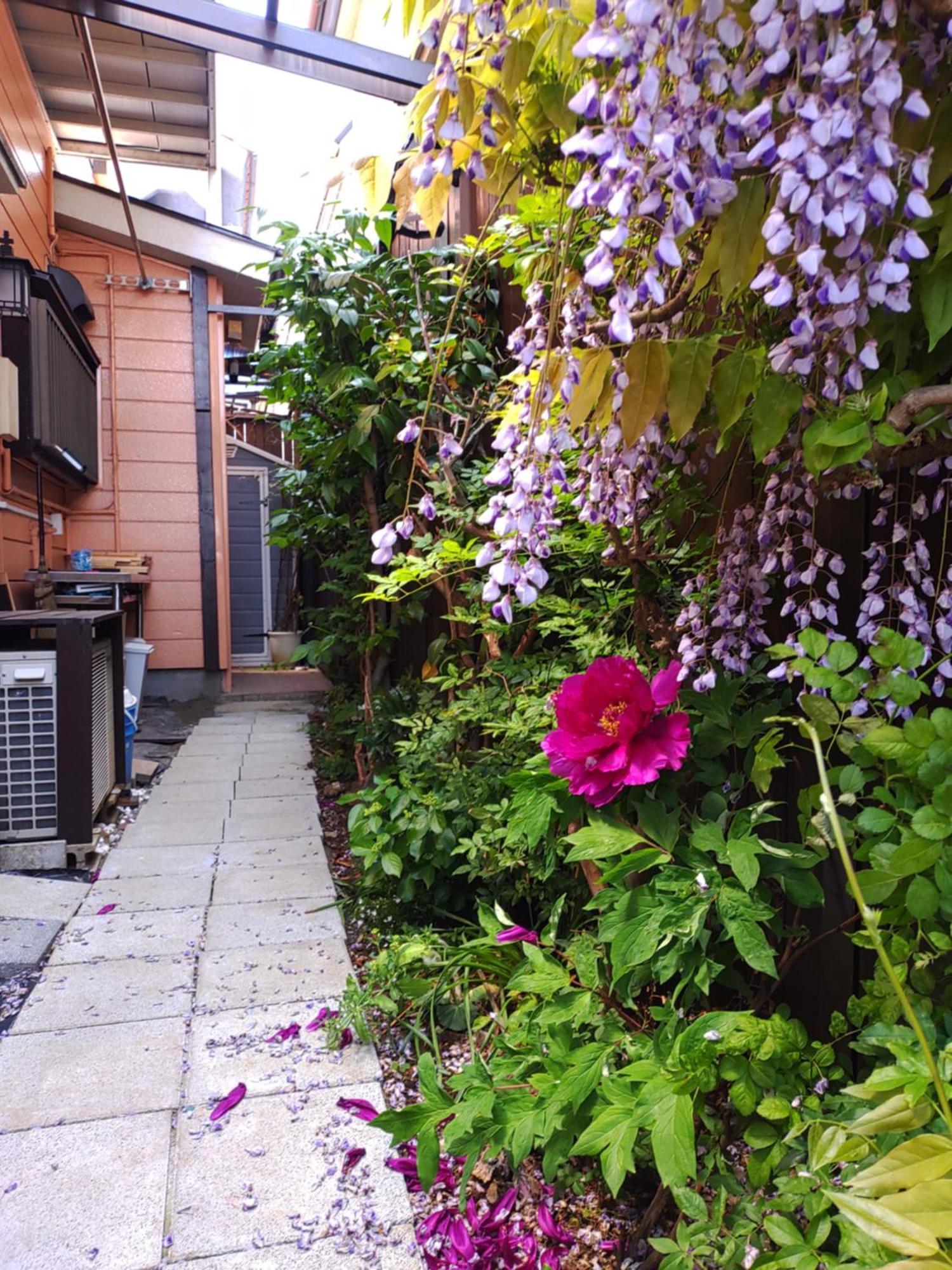 藤紫fujimurasaki Japanese Classic House Tokio Exterior foto
